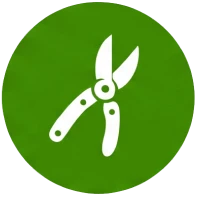 Taille des végétaux